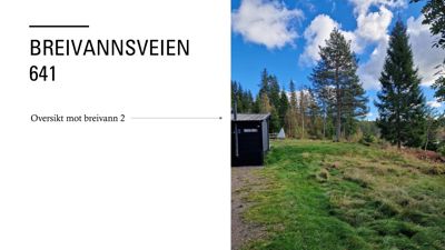 Fotografi av en tomt med en liten hytte eller uthus, med skog i bakgrunnen. Bildet viser et reelt sted og ikke en tegning.