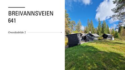 Fotografi av en tomt med flere hytter og skog i bakgrunnen.