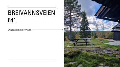 Fotografi av en uteplass med bresse, bord og hytte ved Breivannsveien 641.