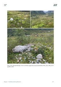 Fotografier av et skredutsatt område med blokker i lausmassedekket, inkludert en stor steinblokk og vegetasjon.