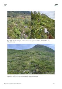 Fotografier av et skredutsatt område med steinar og vegetasjon, inkludert tekster som beskriver bildene.