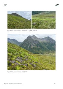 Fotografier av et naturområde (losneområde) med fjell og grønt terreng.