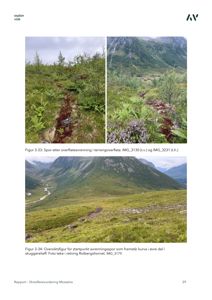 Fotografier av et terrengområde med spor etter overflateavrenning, inkludert en oversiktsfigur.