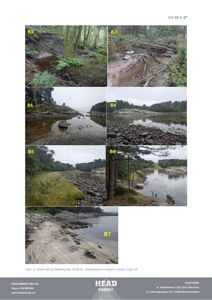 En samling fotografier (Figur 11) som viser terrengforhold, vegetasjon og vannkanten på et byggeområde før befaring.