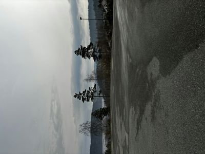 Fotografi av en asfaltert vei eller parkeringsplass med trær og en bygning i bakgrunnen.