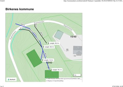 Kart fra kommunekart.no som viser eiendomsgrenser, vegforløp og topografi for eiendommer i Birkenes kommune.