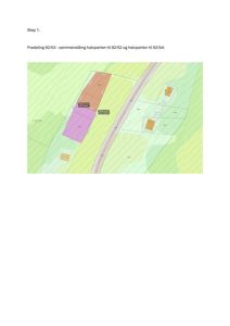 Situasjonsplan som viser tomtedeling (fradeling) med arealoppdelinger og nabolag.