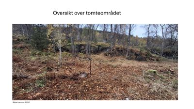 Fotografi av et tomteområde med skog og terreng, tatt for å illustrere området.