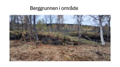 Fotografi av berggrunnen i området, som viser terrengformasjon, vegetasjon og en liten vannvei.