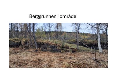 Fotografi av berggrunnen i området, som viser terrengformasjon, vegetasjon og en liten vannvei.