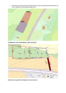 Situasjonsplaner som viser tomtedeling, arealoverføring og eksisterende vei/adkomst med målinger og topografi.