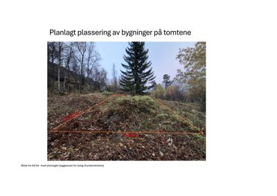 Fotografi av en tomt med overlagte oransje linjer som viser planlagt plassering av bygninger (fundamentene).
