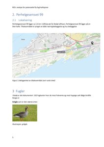Et kart som viser lokalisering av Perhelgesensvei 99 i forhold til Bodø lufthavn, samt en illustrasjon av en grågås.