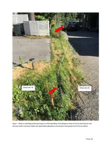 Fotografi av en grense mellom to eiendommer (Ottes Vei 18 og 20) med midlertidig markering.