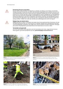 Fotografier av graving og beskjæringsarbeid i forbindelse med trebehandling.