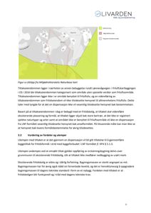 Et utklipp fra Miljødirektoratets Naturbase kart som viser eiendommen i forhold til naturfuru, viltliv og fritidsområder.