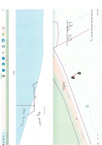 Situasjonsplan som viser tomtens form, grenser (Fjordvegen), eksisterende terreng (Eks terreng) og nytt terreng (Ny profil).