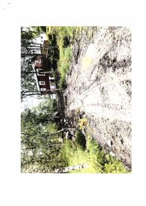 Fotografi av et utendørsområde med en bygning i bakgrunnen og vegetasjon i forgrunnen.