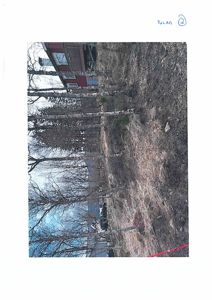 Fotografi av en tomt med en eksisterende rød hytte i bakgrunnen og trær i forgrunnen.