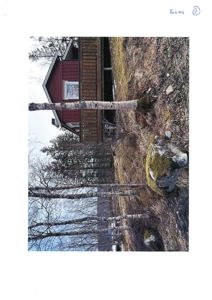 Fotografi av en rød hytte eller hus sett fra siden, med trær i forgrunnen.