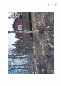 Fotografi av en rød hytte sett fra siden, med en bjørk i forgrunnen.