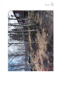 Fotografi av en tomt med en bygning i bakgrunnen og trær i forgrunnen.