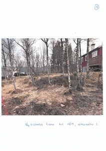 Fotografi av et tomt eller delvis utgravd område med trær og en bygning i bakgrunnen.