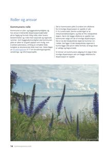 Fotografi av en blå blomst (sannsynligvis en type salvia) i forgrunnen med en vannflate og himmel i bakgrunnen.