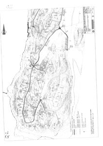 Situasjonsplan som viser etasjeforhold, terrengkonturer, vegnett og bygningsplasseringer på et område.