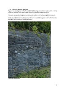 Fotografi av en fjellsikring med netting på en skråning, med tilhørende tekstbeskrivelse.