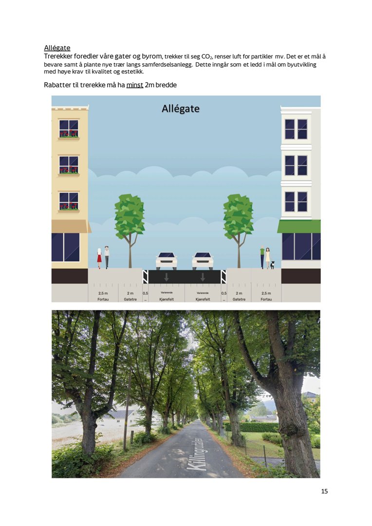 Bildet viser en illustrasjon av et 'Allégate'-konsept med en tegnet fasade og en fotorealistisk vei med trær, samt en teknisk nederste del.