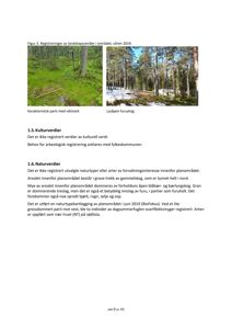 To foton som viser landskapsverdier i et område, inkludert et parti med våtmark og en lysåpen furuskog.