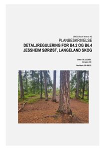 Fotografi av et skogområde med flere trær, sannsynligvis på byggefeltet Jessheim Sørøst.