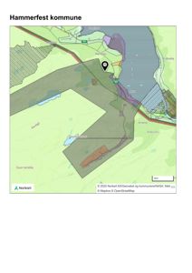 Kart over Hammerfest kommune med en markert lokalitet (pin) og overlagte arealdata (f.eks. grønnfargete soner).