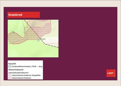 Kart som viser snøskredfareområder (aktsomhetssoner) i et skogområde, med reindrift som kontekst.
