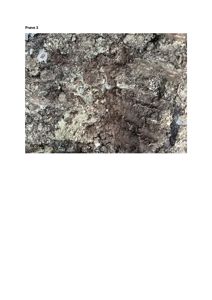 Fotografi av en jordprøve, merket 'Prøve 3', som sannsynligvis er tatt under en geoteknisk undersøkelse for en byggesak.