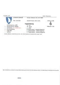 Situasjonskart som viser eiendomsgrenser, vannledninger og beliggenhet for Dalsveien 104.