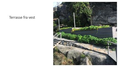 Fotografi av en terrasse med planter og steinmur sett fra vest.