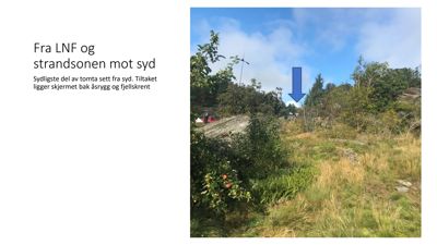 Fotografi av et utendørs område (tomte) sett fra sør, med tekstbeskrivelse og en blå pil som peker på en spesifikk del av landskapet.