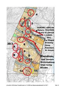 Situasjonsplan som viser eiendomsgrunn, topografi, veiutforming og eiendomsnummerering.