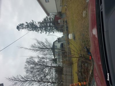 Fotografi av en eksisterende bygning og hage sett fra bakkenivå.