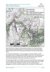 Et kart som viser et påvirkningsområde (SR 16 Beta) med overlagte beregninger for snøskred. Kartet viser topografi, vegnett og skogdekning basert på et datasett.