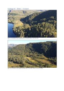 Dronebilder av et naturområde (Tordalen) som viser terreng, skog og vann.