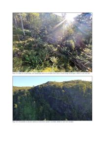 To fotografier (ett fra bakkeløp og ett dronebilde) som viser terrenget i et område, inkludert skog, en bekke og en klippvegg.