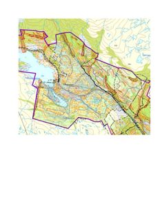 Et topografisk kart over et område (Jokohaugd) med overlagte farger og streker som indikerer ulike arealbruk eller planlagt utvikling.