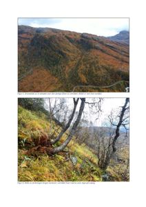 To fotonummeret Figur 5 og Figur 6 som viser et naturområde (dalsøkk og skråning) med tekstbeskrivelser under hver.