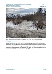 Fotografi av et skredfelt langs Skarbekken, tatt den 20. feb. 2021.