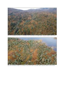 To dronelbilder som viser et naturområde (Løken-Langvatna) med skog, myr og vann.