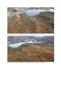 To dronebilder av området Låken-Longvatna, som viser topografi og vannmasser.