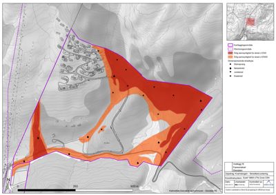 Situasjonsplan som viser et kart over et område med topografi (konturlinjer), eiendomsgrenser, og overlagte faroner for steinsprang og jordras.